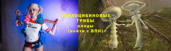 ПСИЛОЦИБИНОВЫЕ ГРИБЫ Абинск