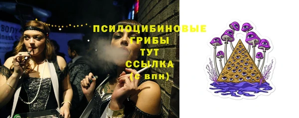 ПСИЛОЦИБИНОВЫЕ ГРИБЫ Абинск